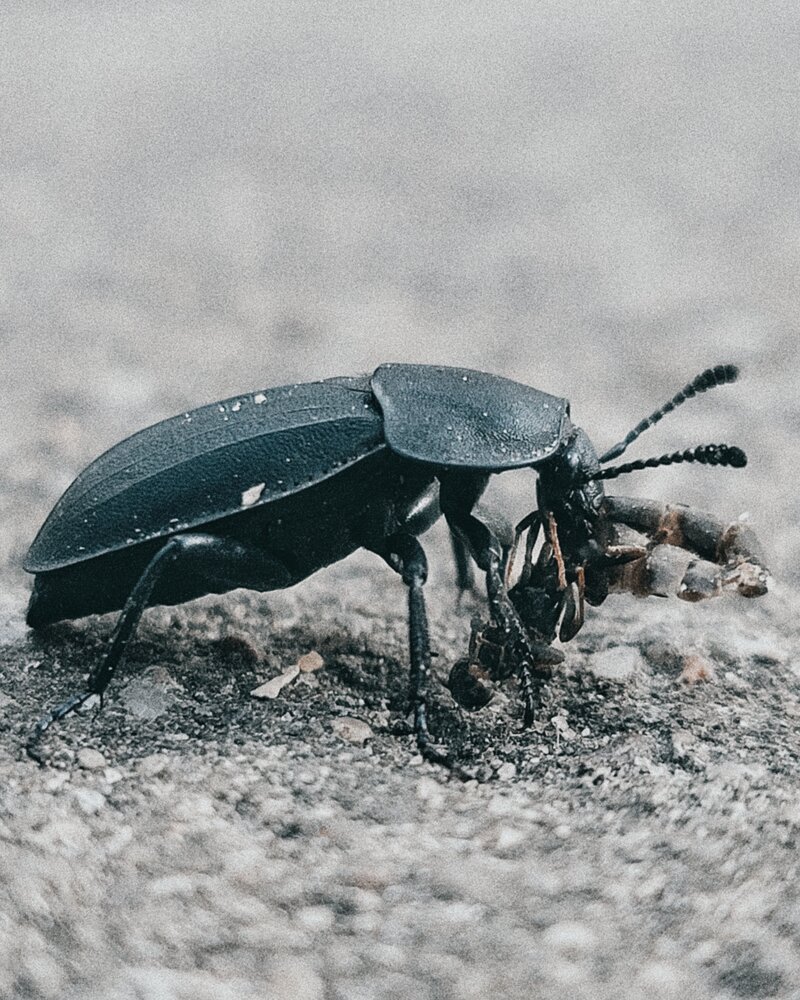 Photograph by Алина