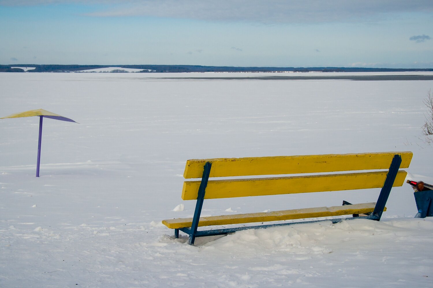 Photo #13939511