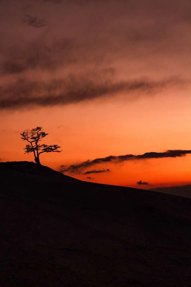 Photograph by Денис Мартыновский