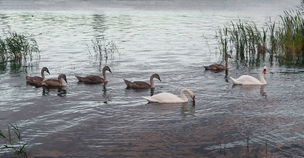 Photograph by Нина