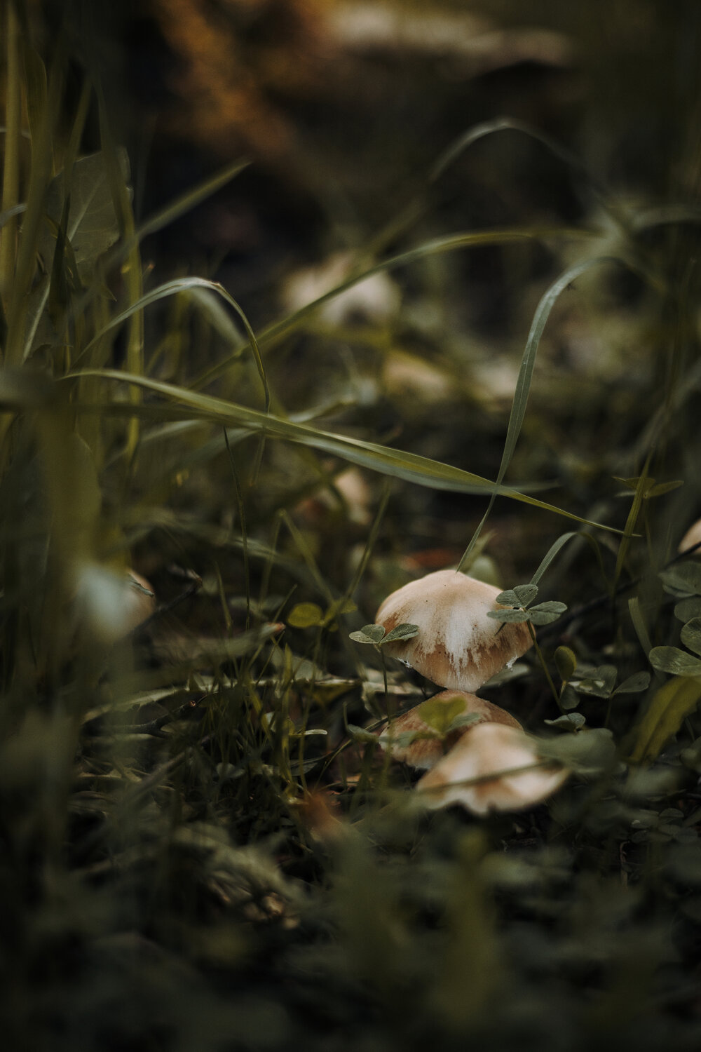 Photo #13939738