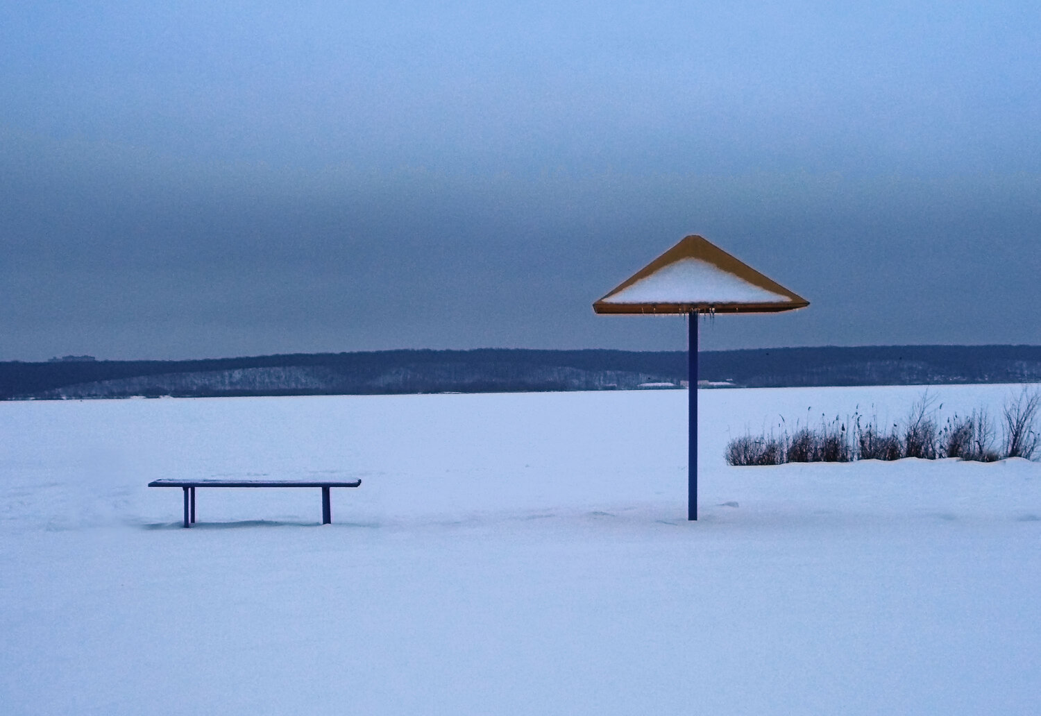 Photo #13939879