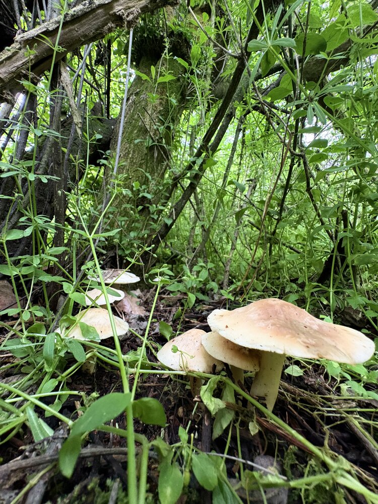 Photograph by Олеся Жидкова