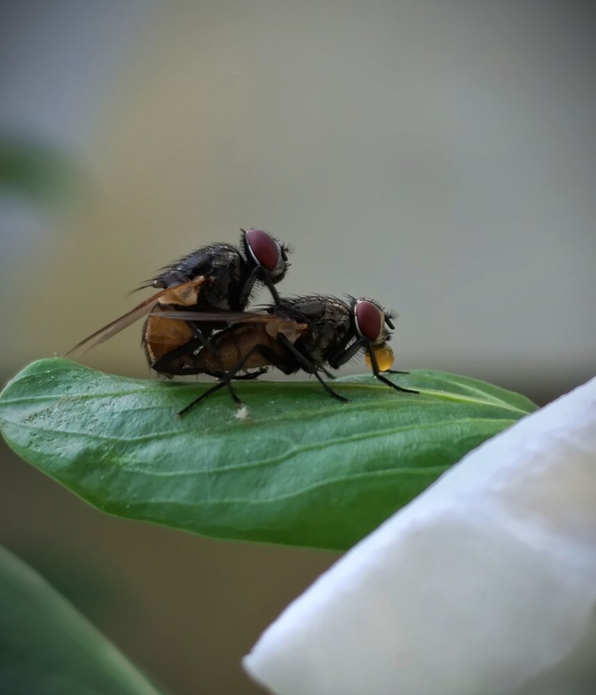 Photograph by Ashata Jannat Jannat