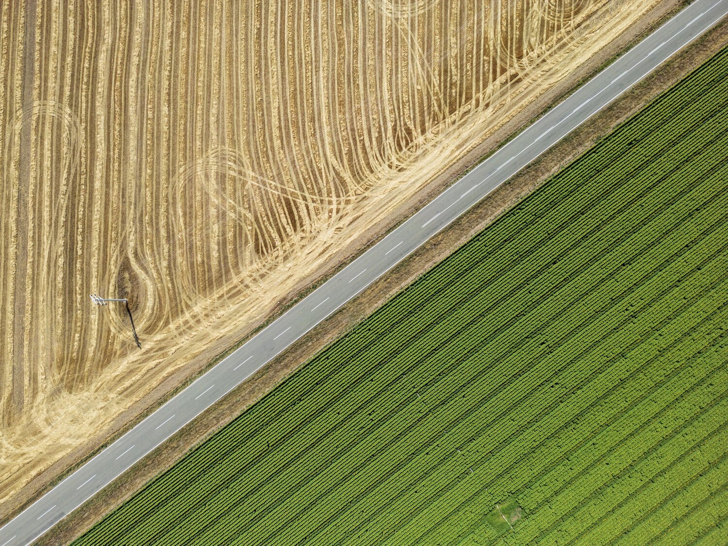 Between Seasons