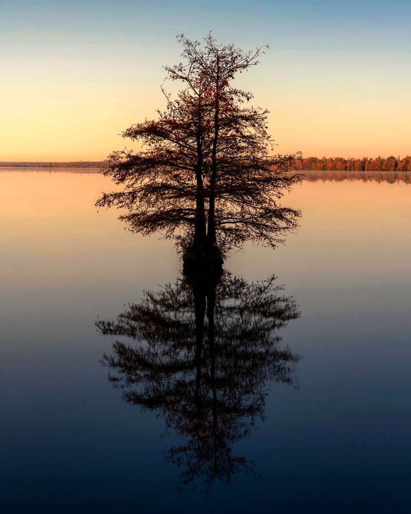 Photograph by Буканов Дмитрий
