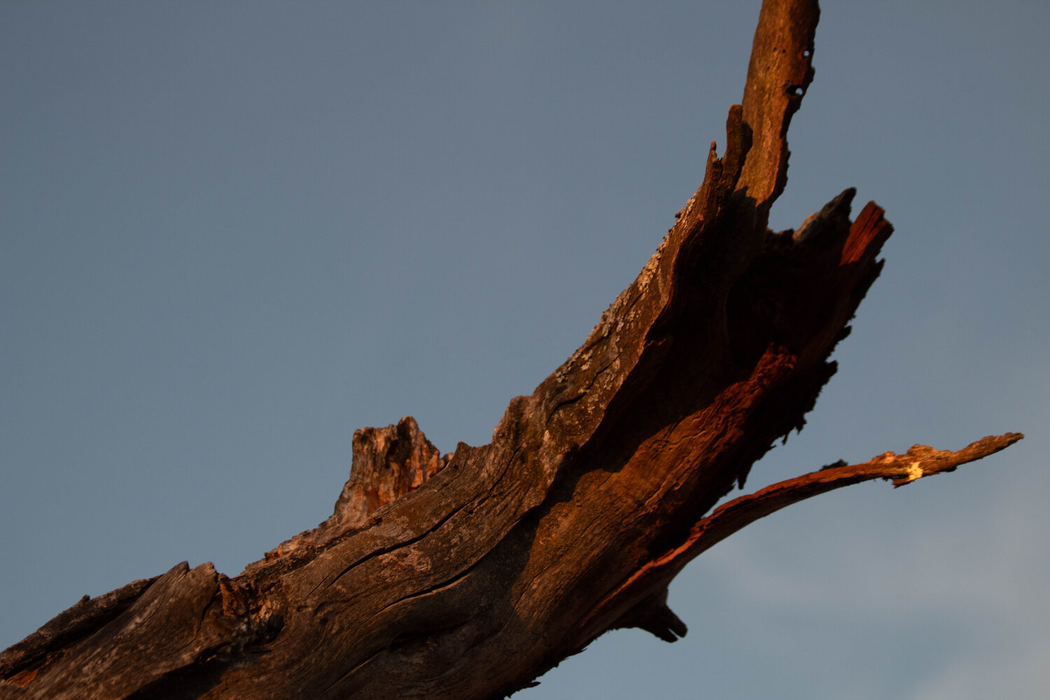 Photo #13940023