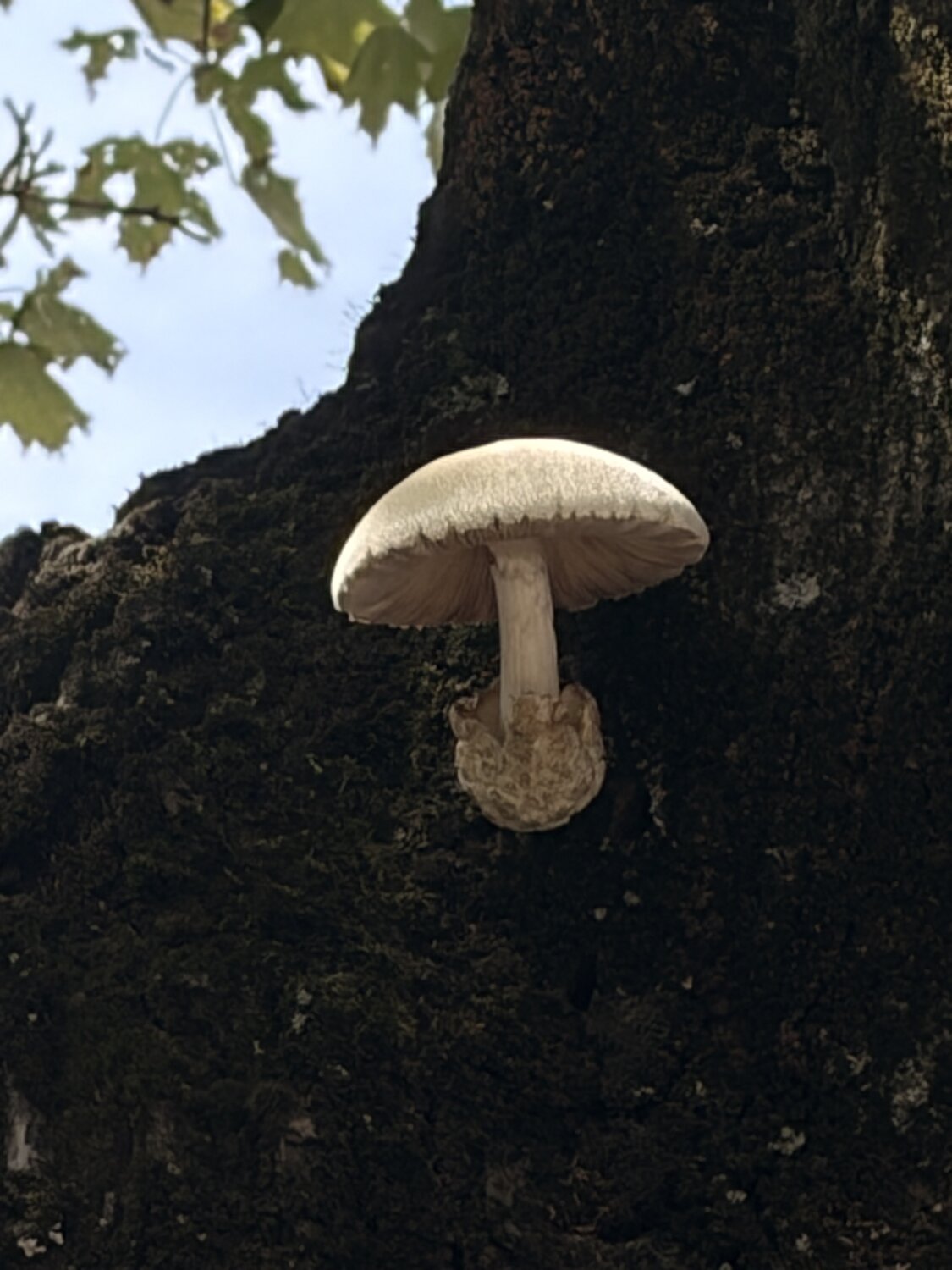 Photo #13940076