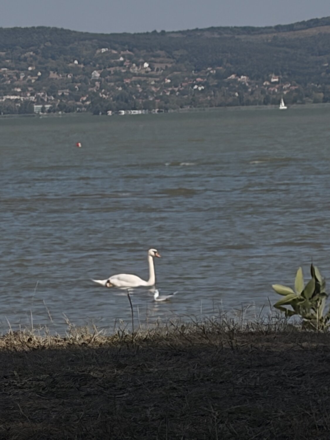 Photo #13940080