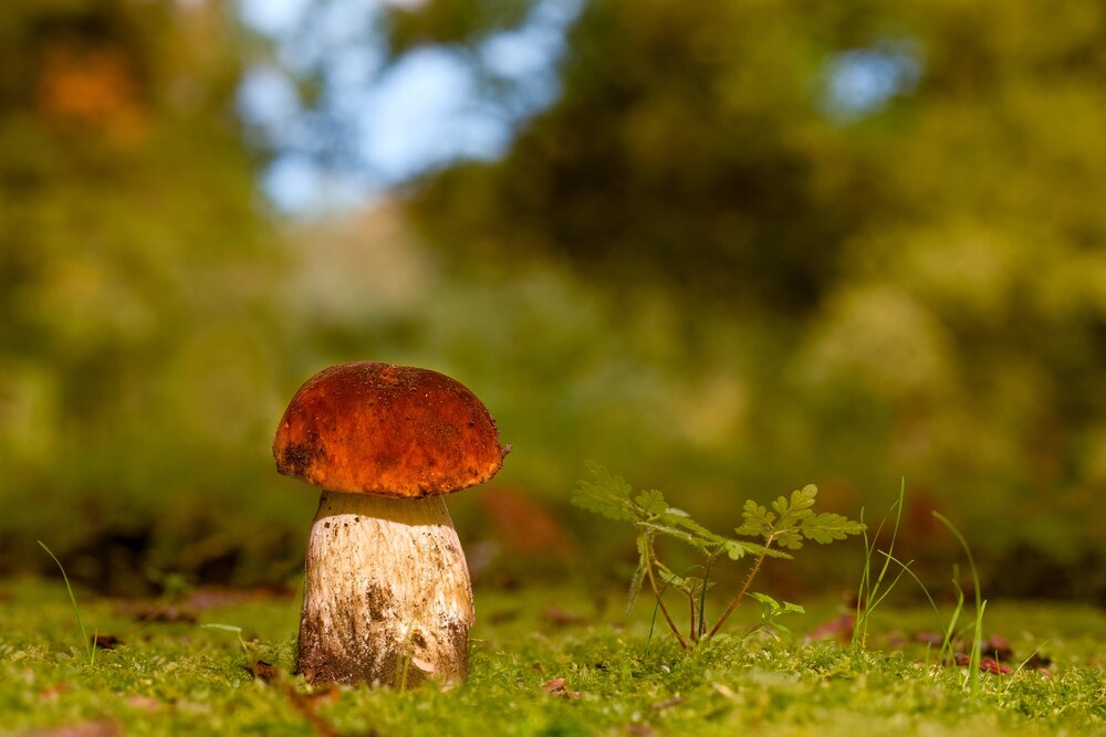 Photograph by Kveta Novotna