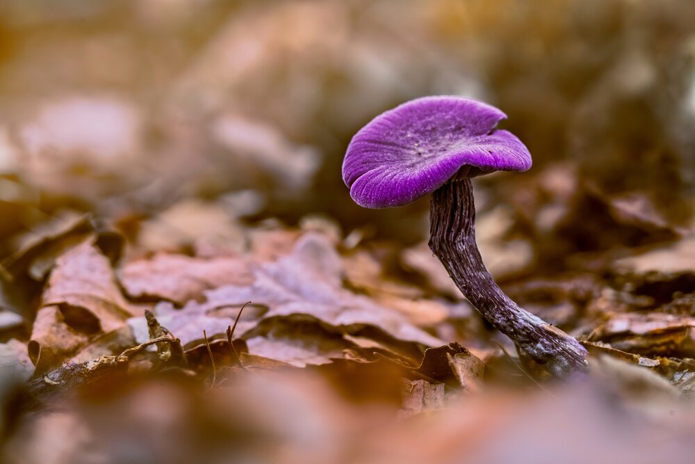 Photograph by Kveta Novotna