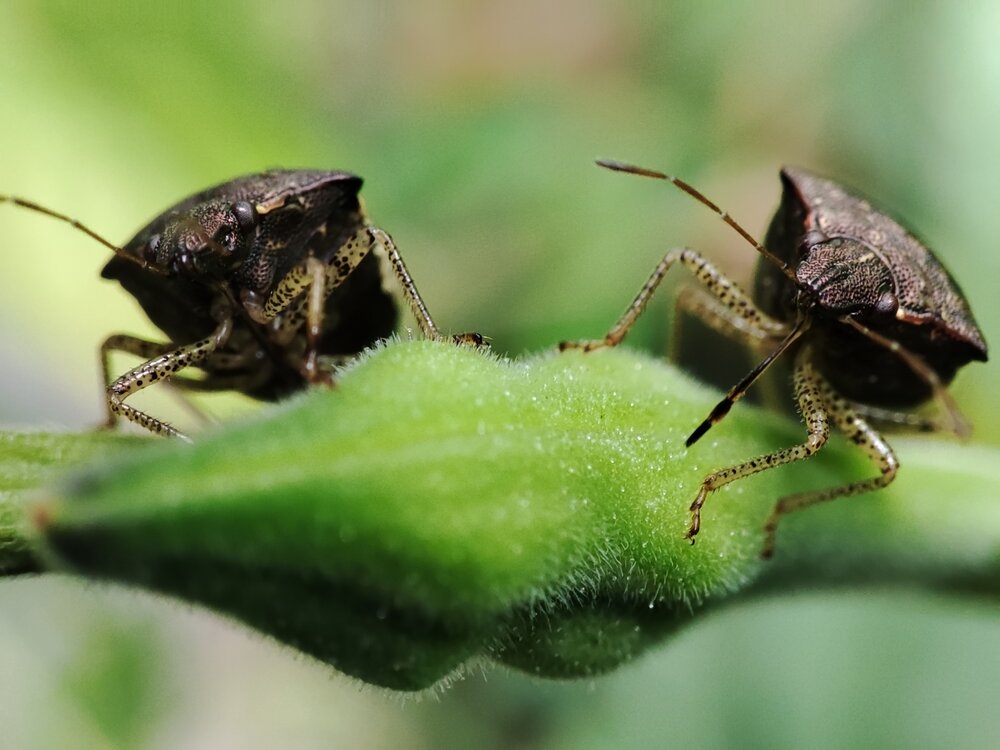 Photograph by Riski Donheri
