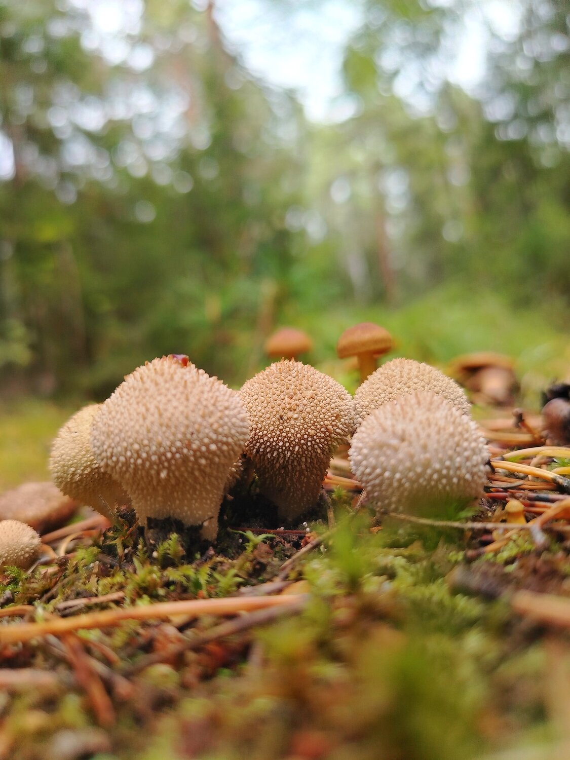 Photo #13940523