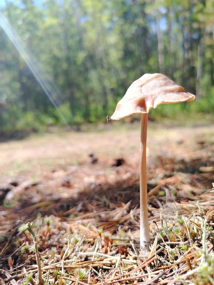 Photograph by Галина Карманова
