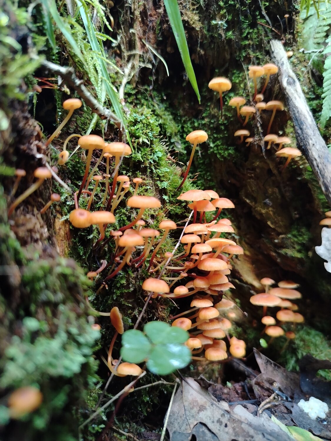 Photo #13940529