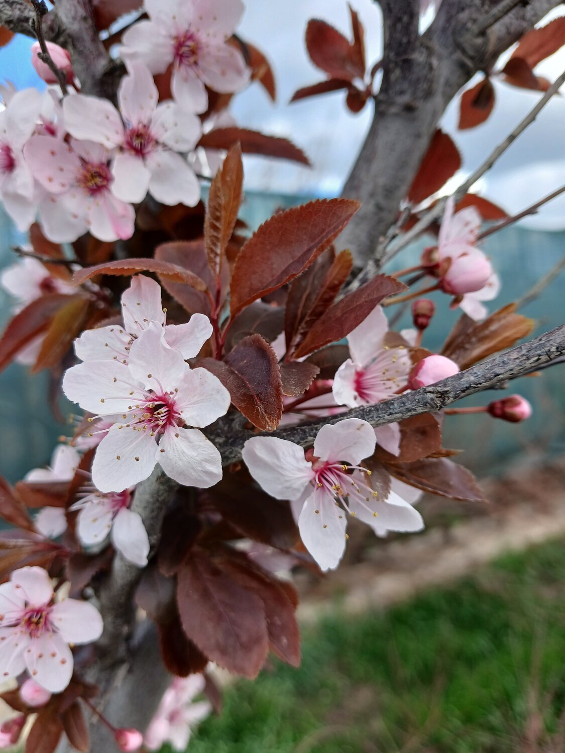 Photo #13940550