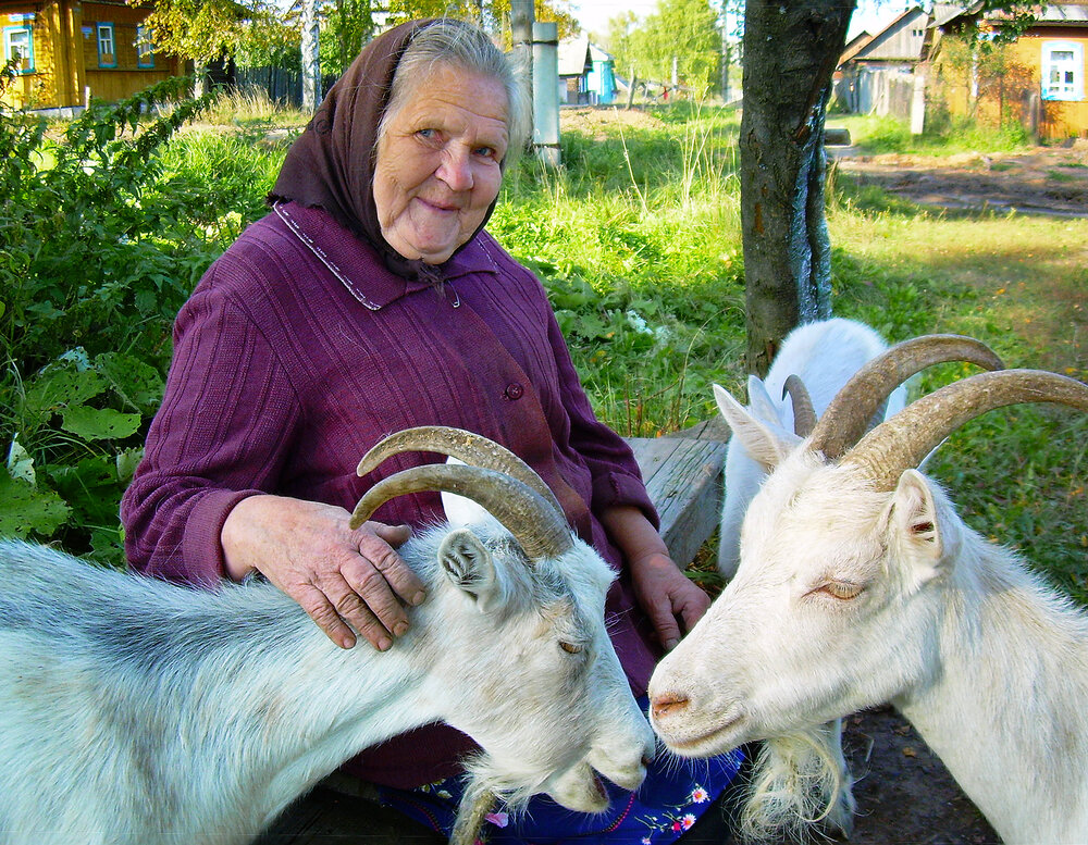 Photograph by Шистеров Сергей