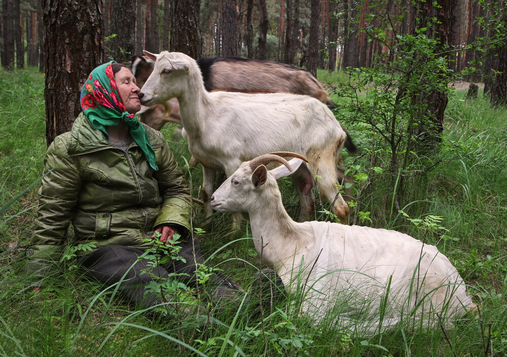Поцелуй любви.