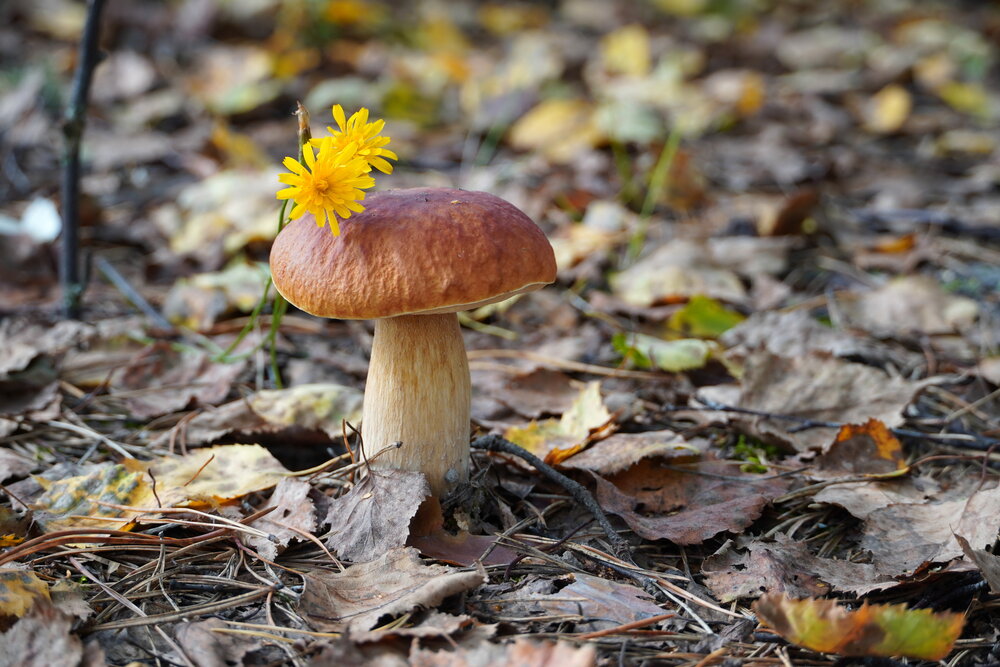 Photograph by Галина Кан