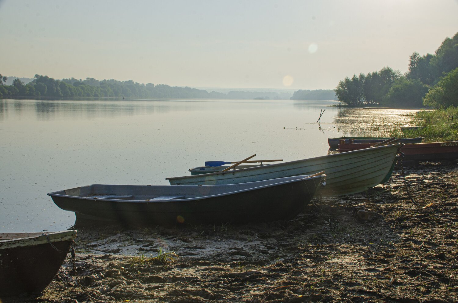 Photo #13940815