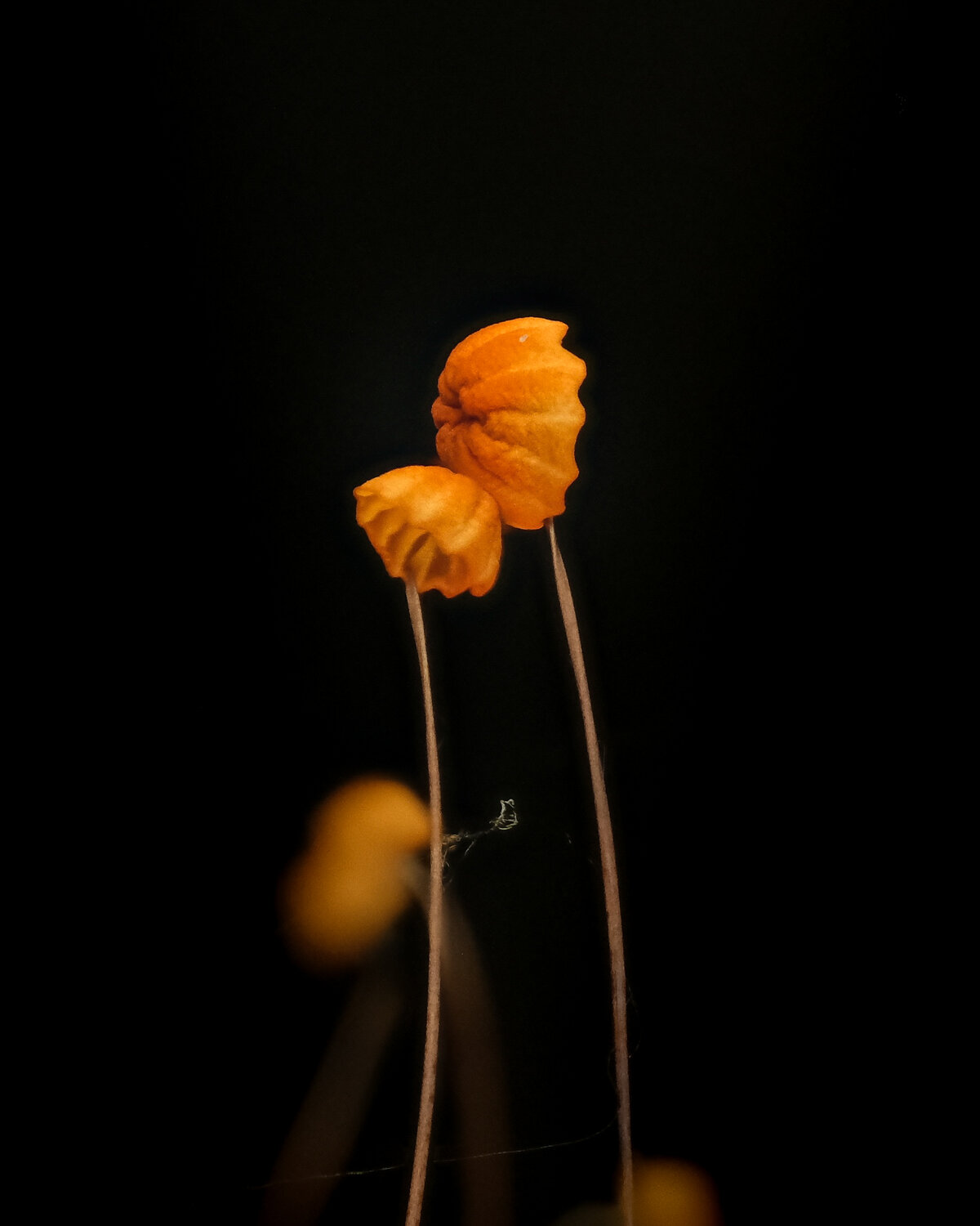 Photo #13940828