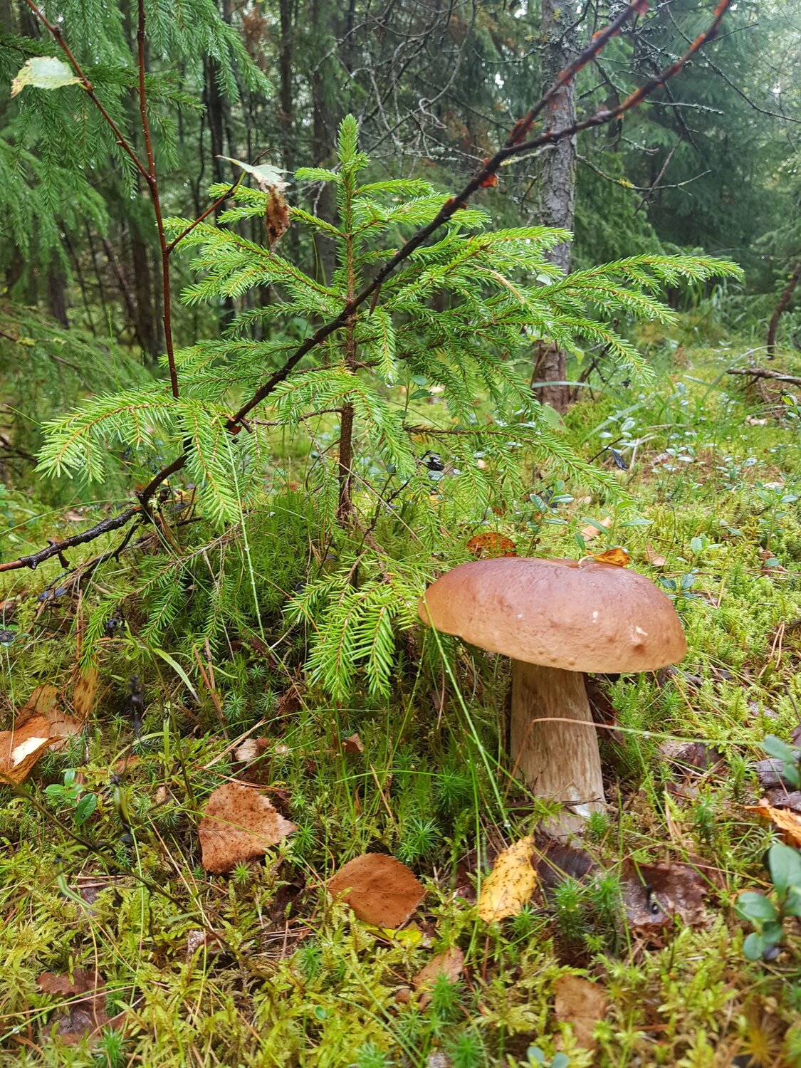 Photo #13940926