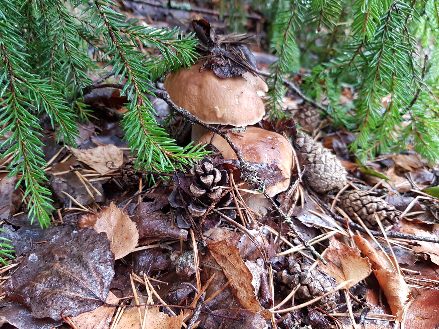 Photo #13940928