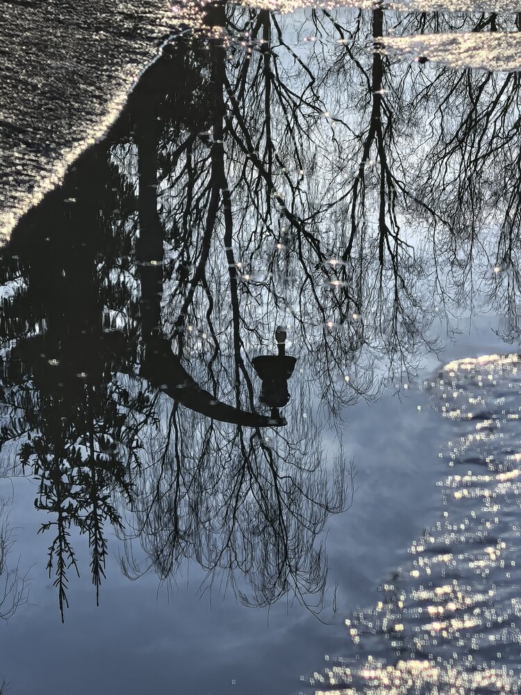 Photograph by Елена Охапкина