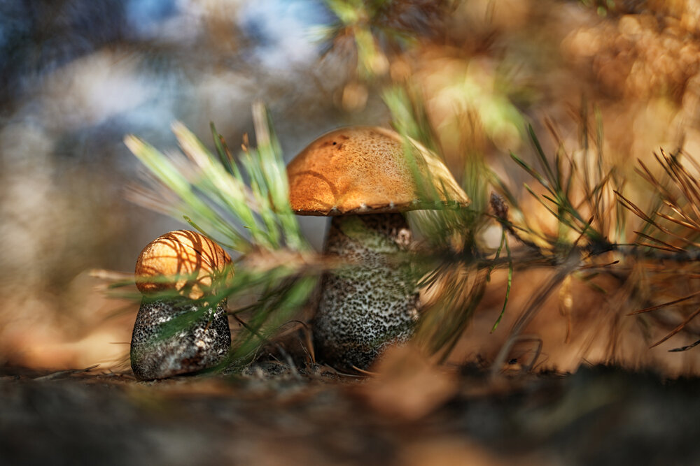 Photograph by Сибиряк