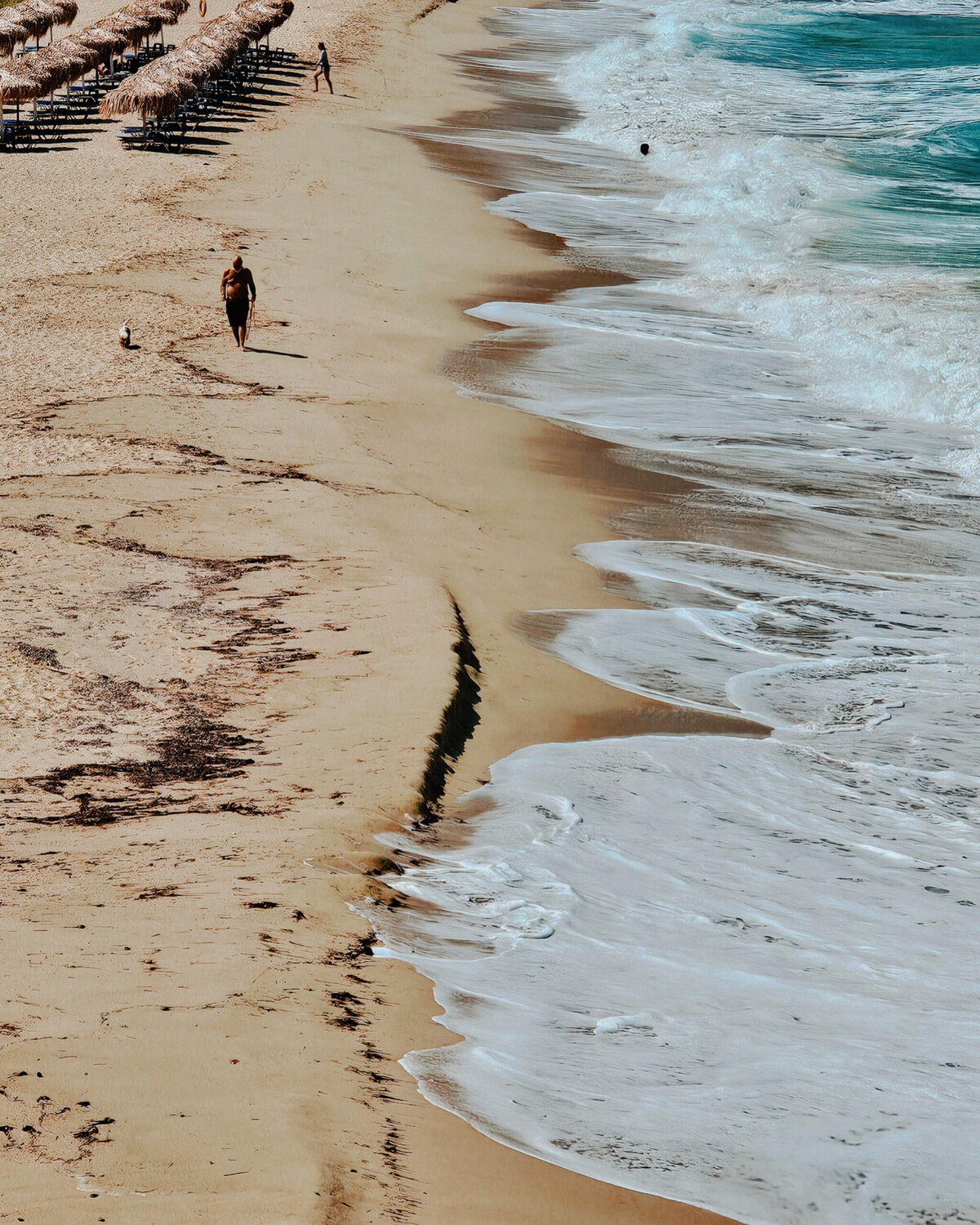 Photo #13941062