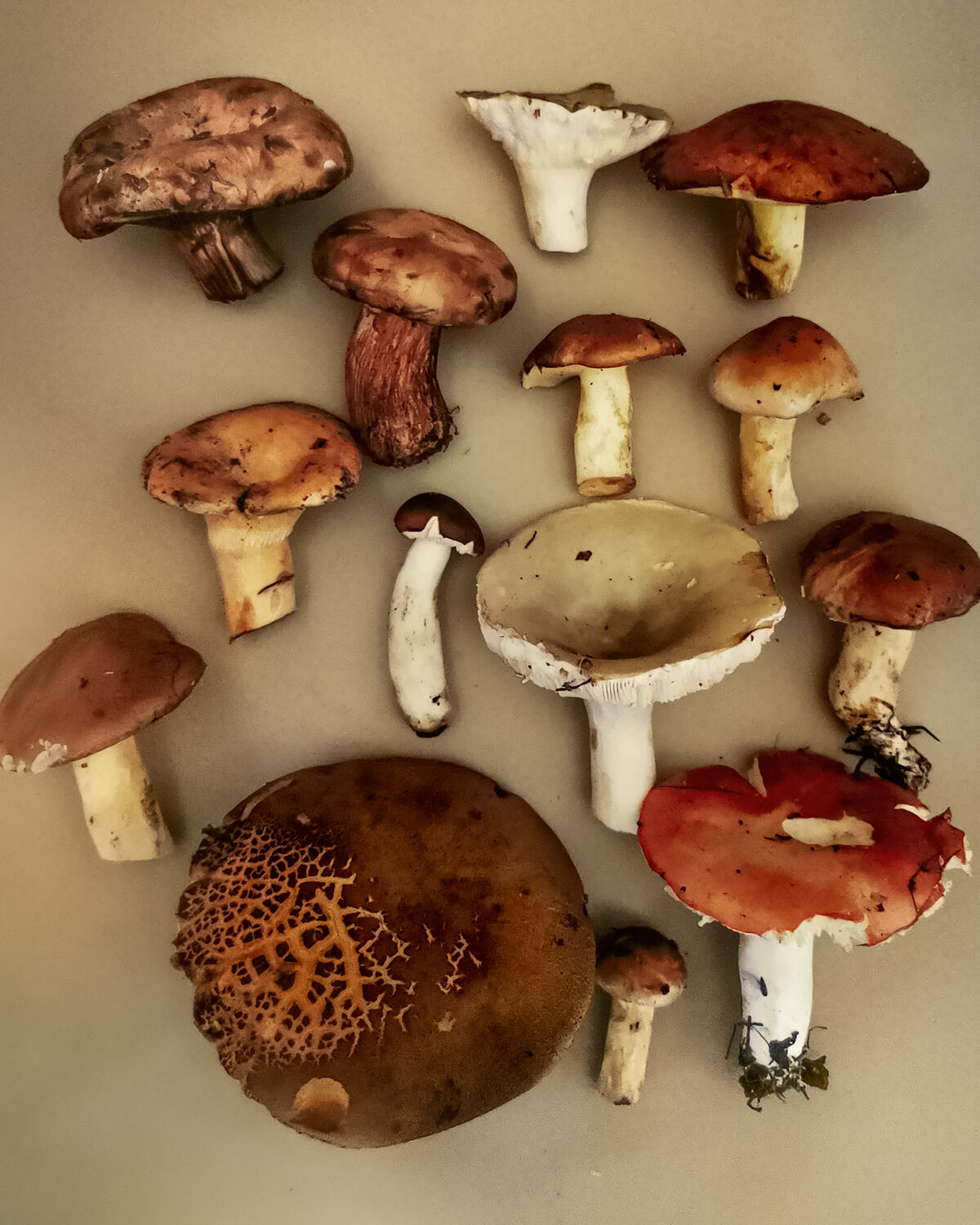Photo #13941082