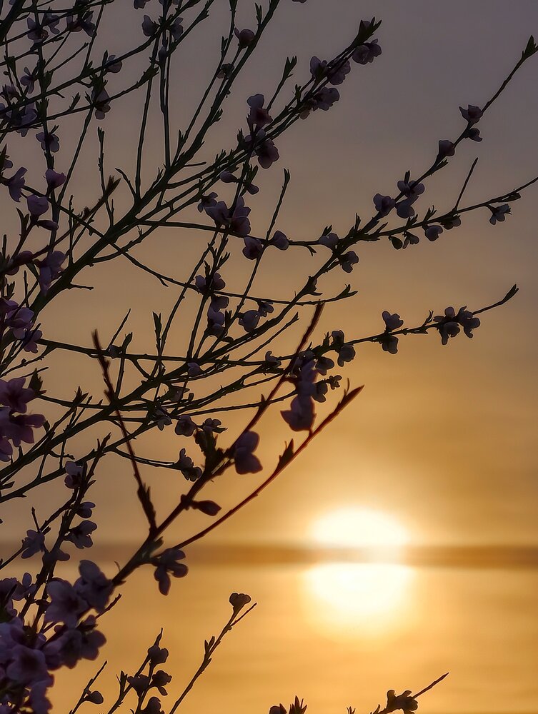 Photograph by Елена Артёменко