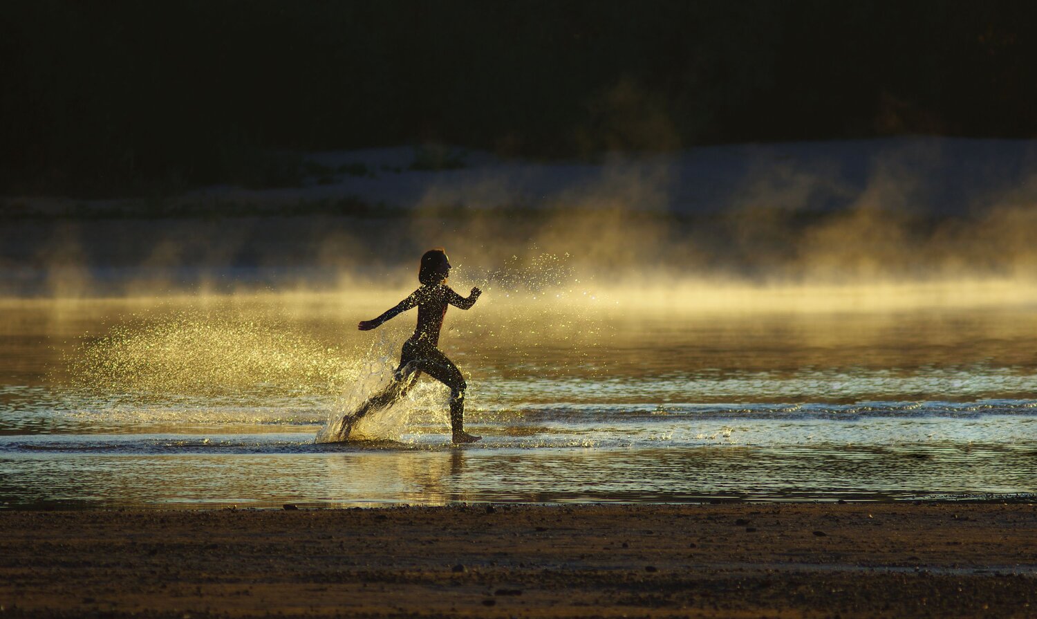 Photo #13941404