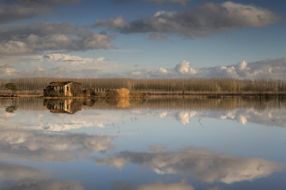 Abbandono riflesso
