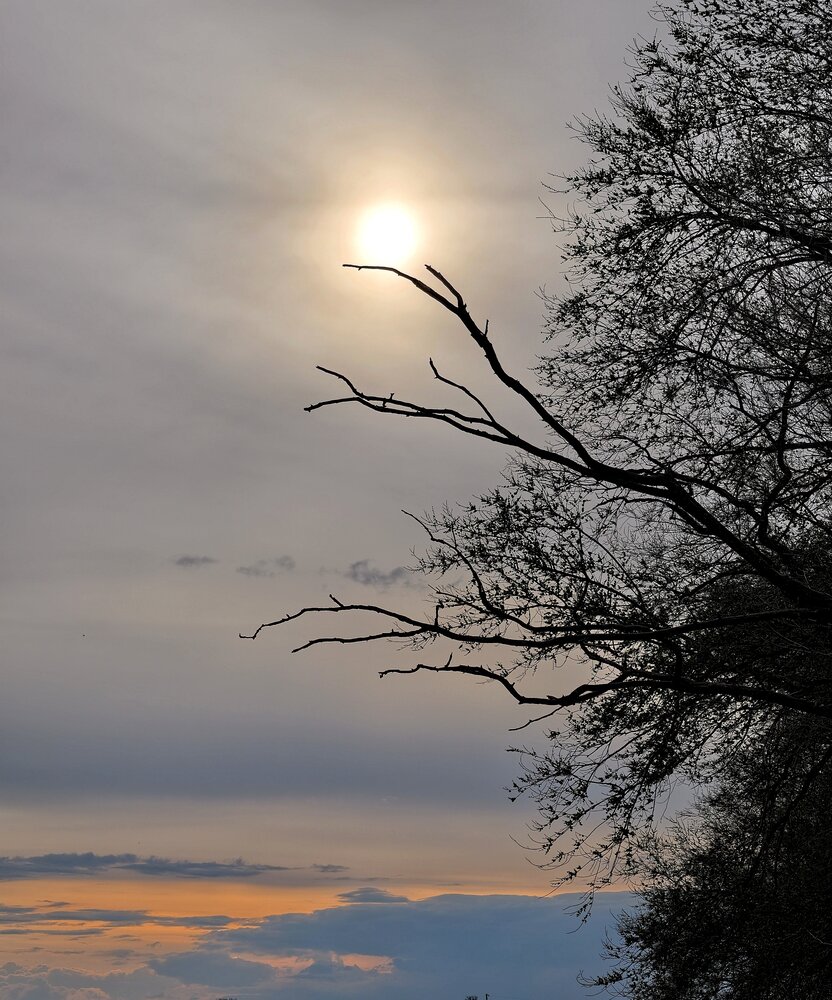 Photograph by Елена Артёменко