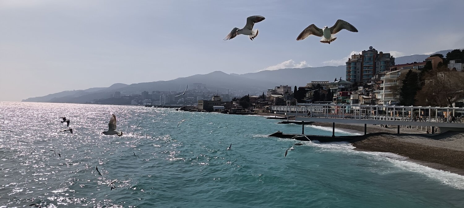 Photo #13941654