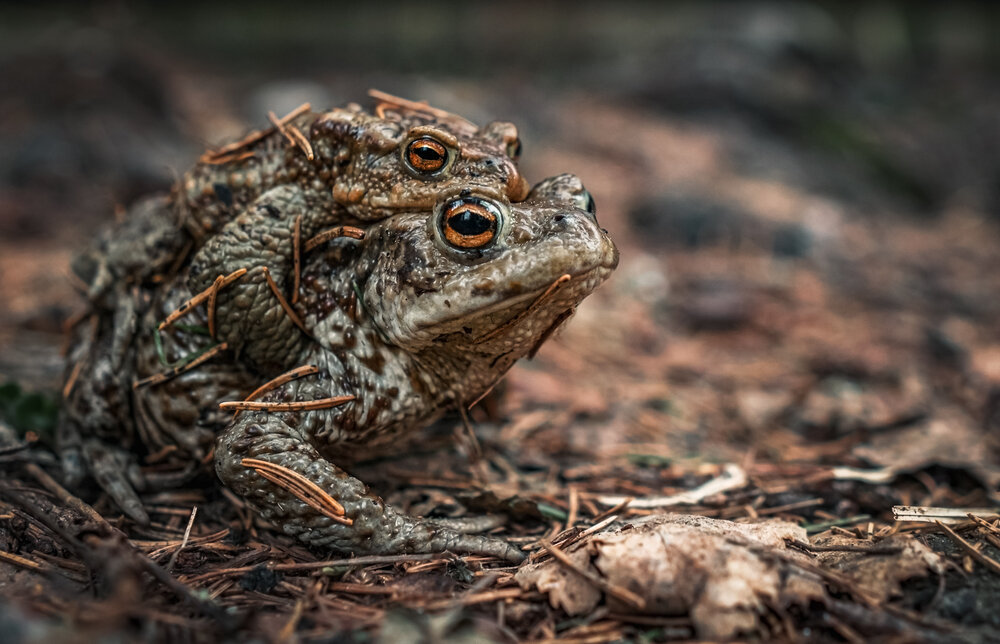 Photograph by Щирова Александра