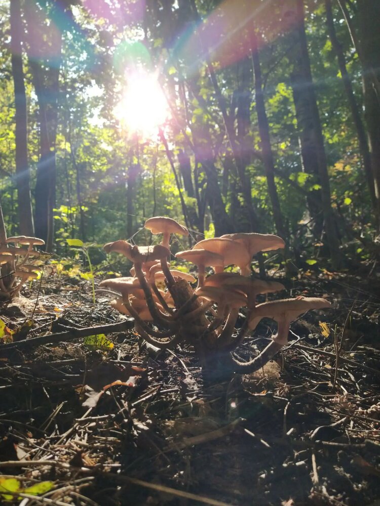 Photograph by Семён Так странно