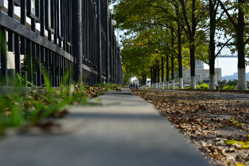 Photograph by 