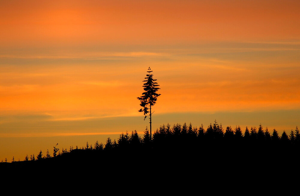 Photograph by Буканов Дмитрий