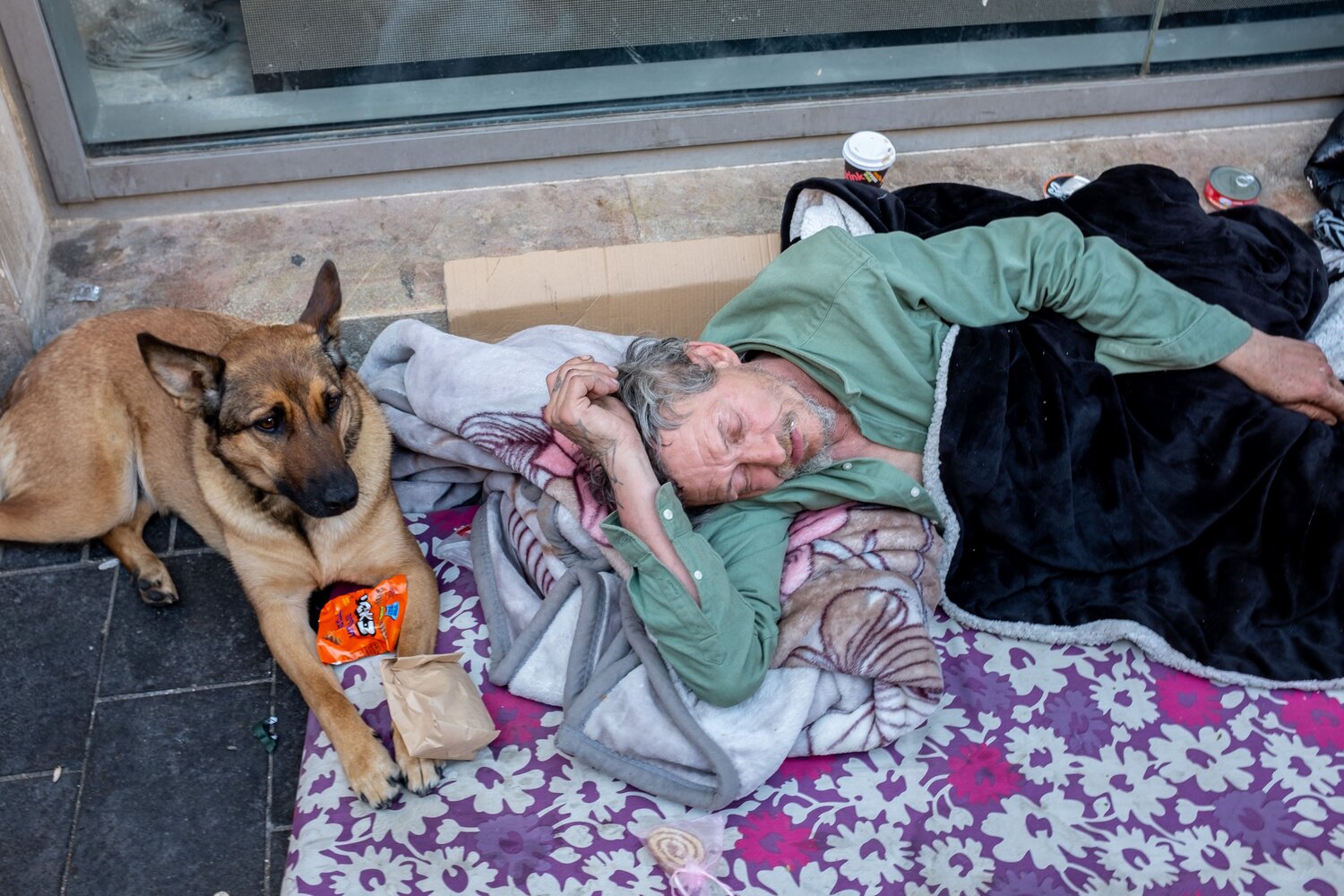 The Man with The Dog