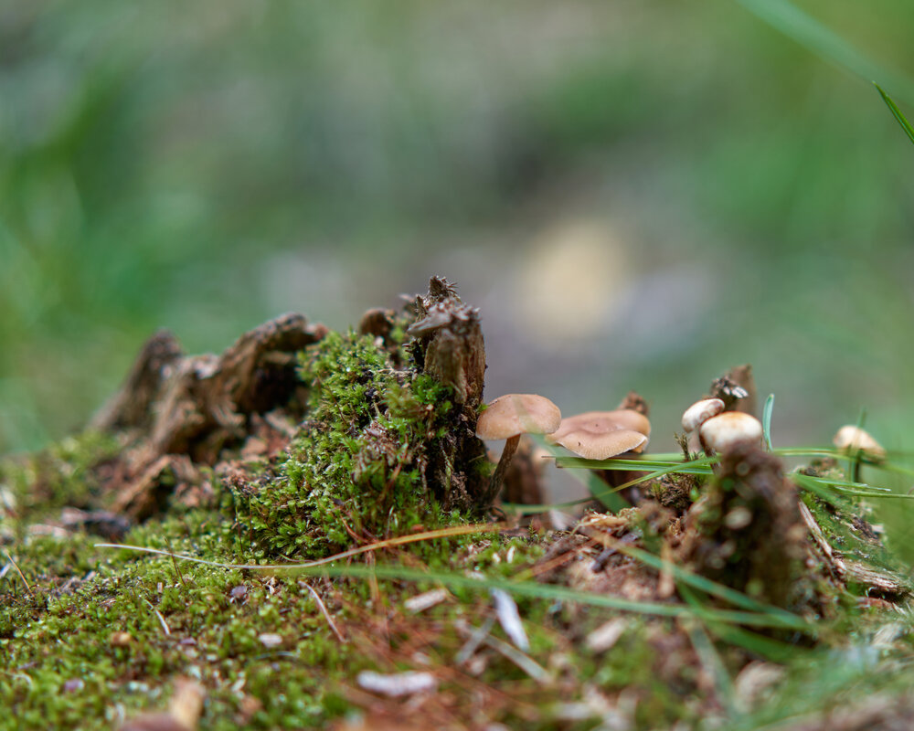 Photograph by Бенгард Виталий