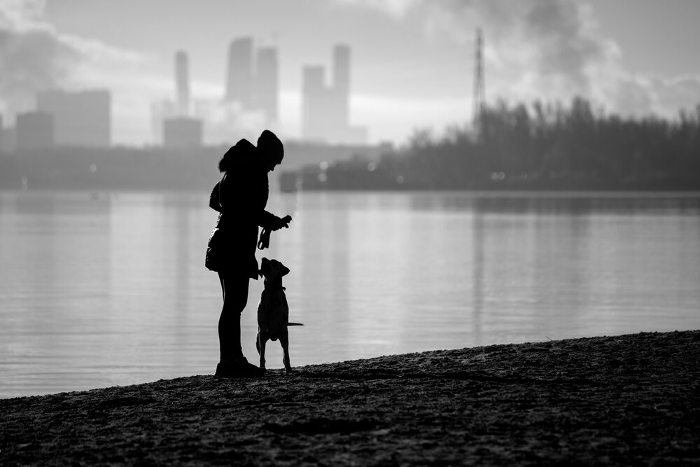 Photograph by Сергей Алексеев