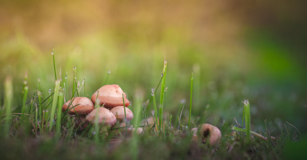 Photograph by Зеленько Дмитрий