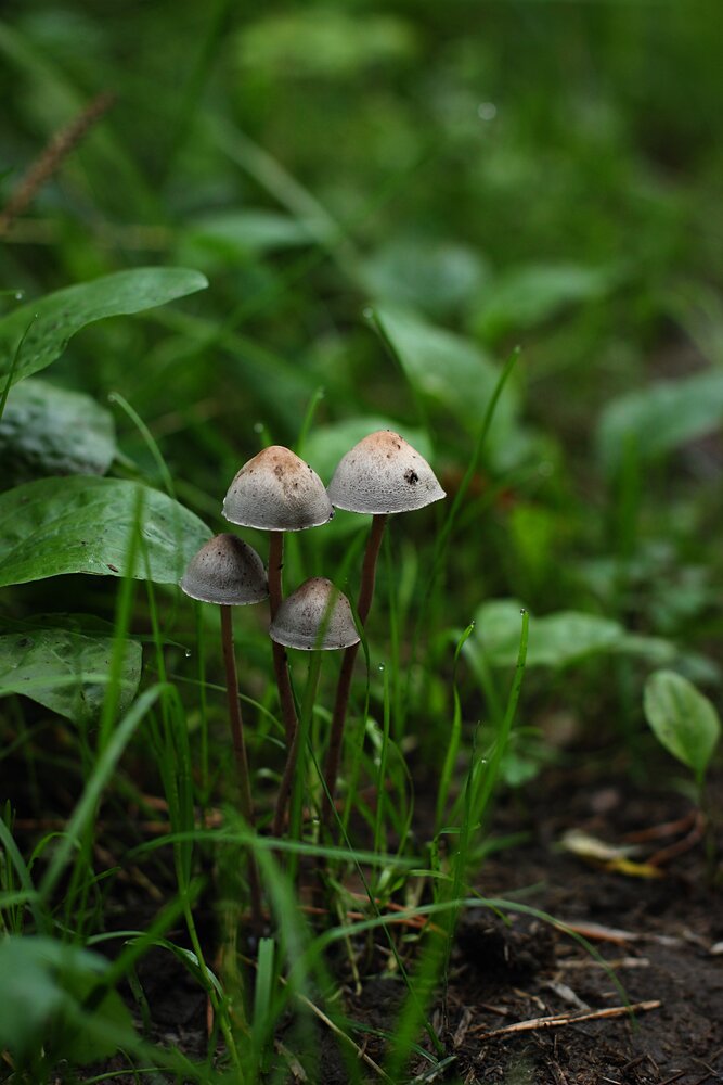 Photograph by Екатерина Солохина