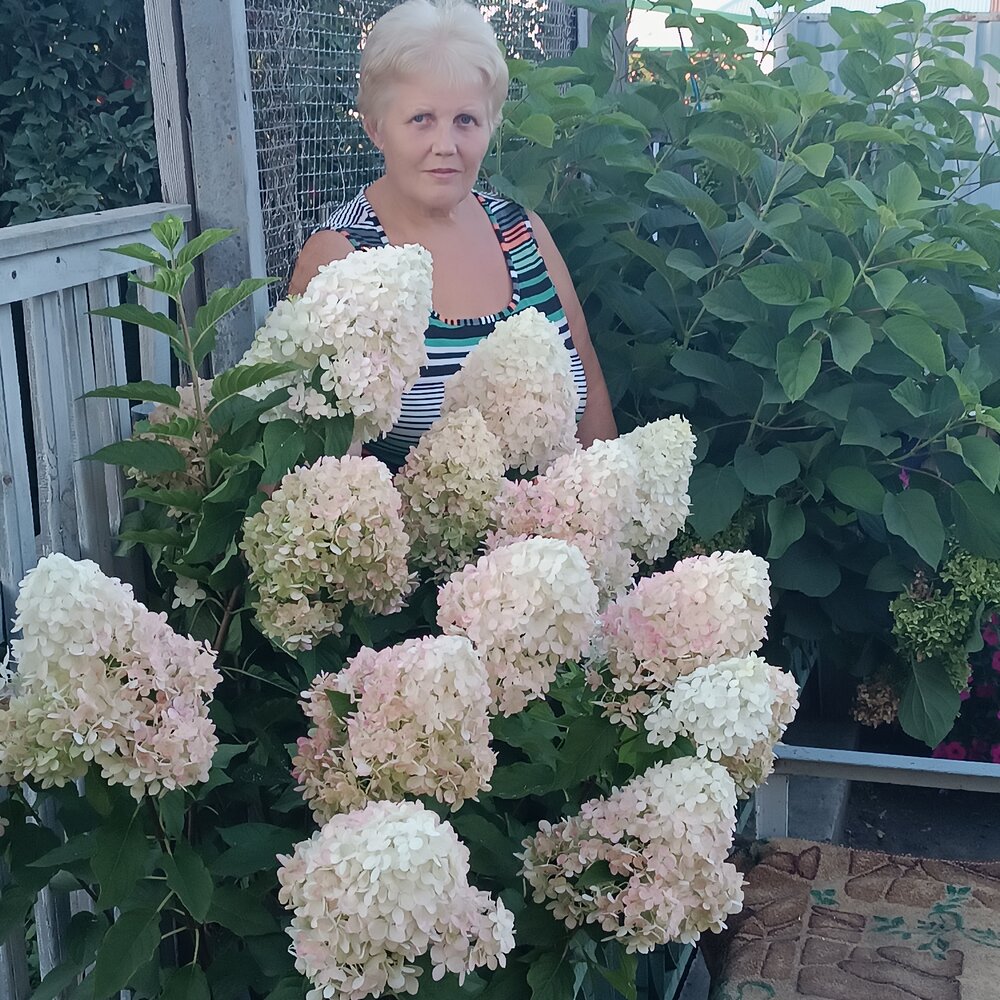 Фотография автора Елена Колышева