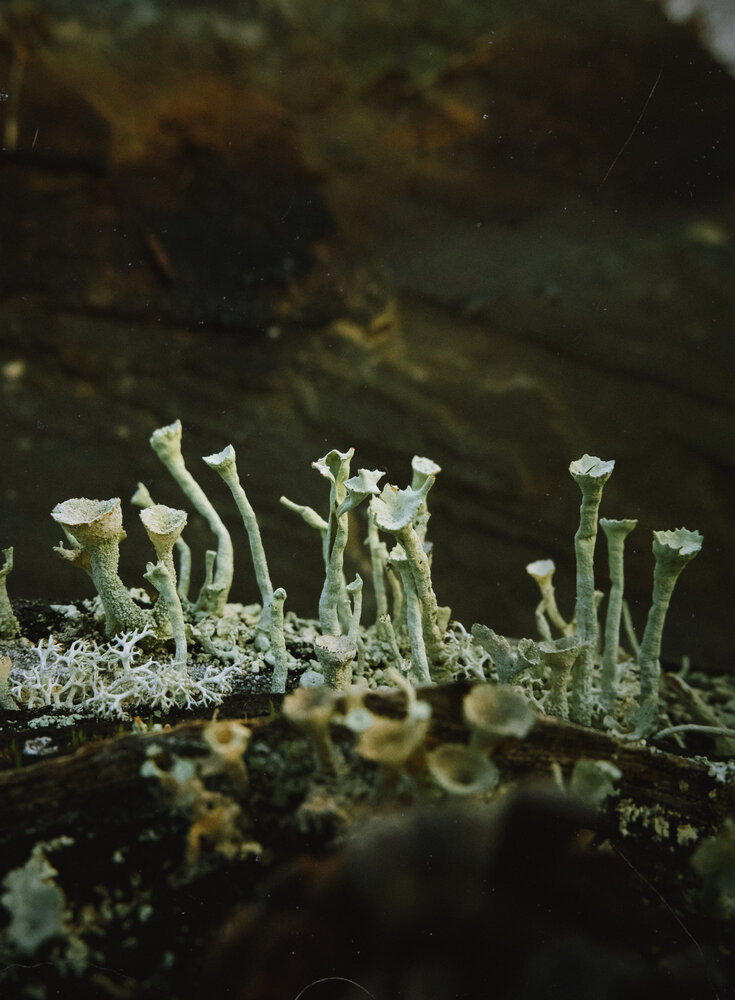 Photograph by Тень Таня