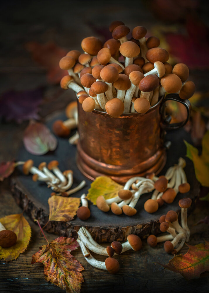 Photograph by Arina Bogachyova