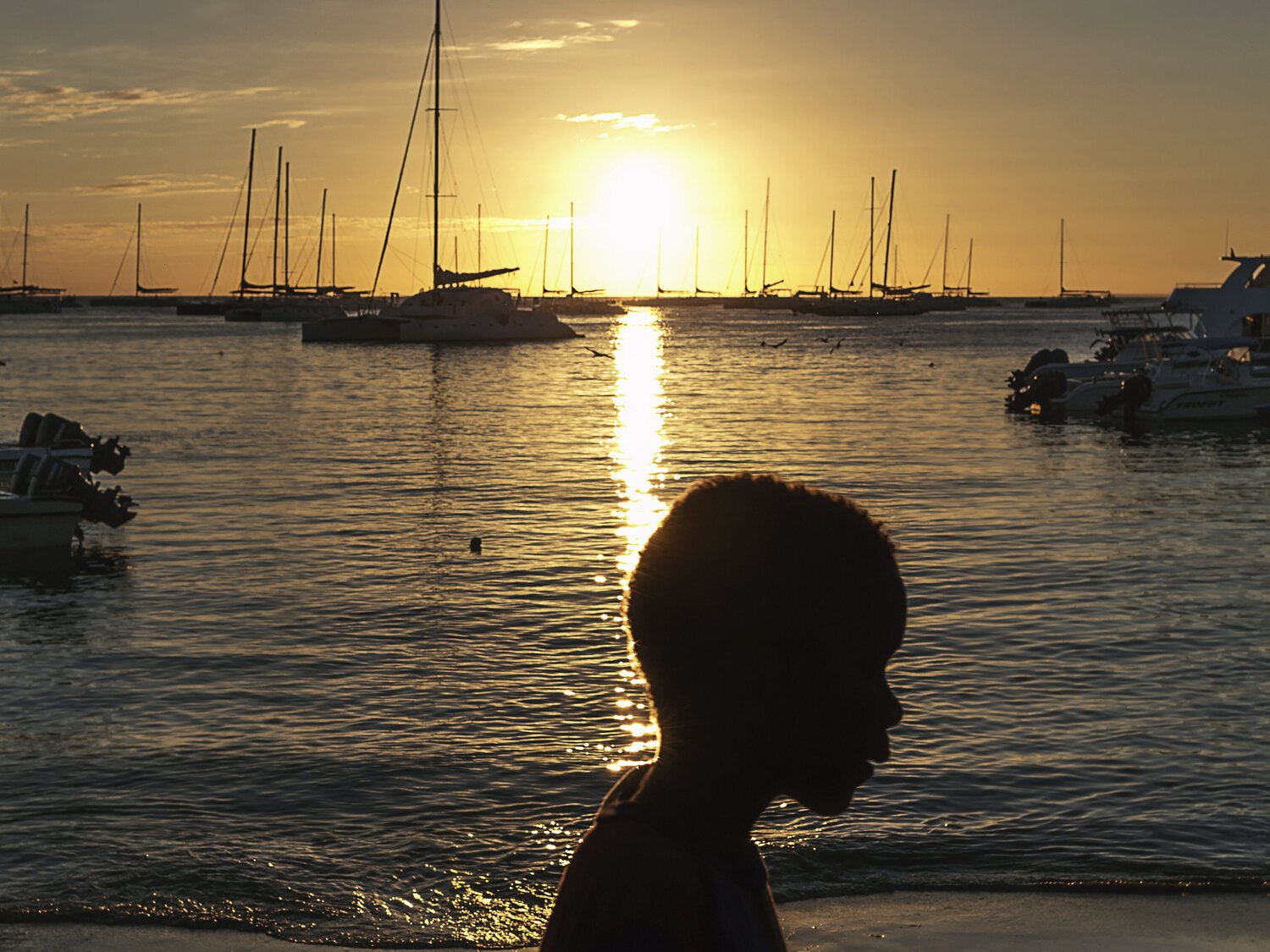 Photo #13942329