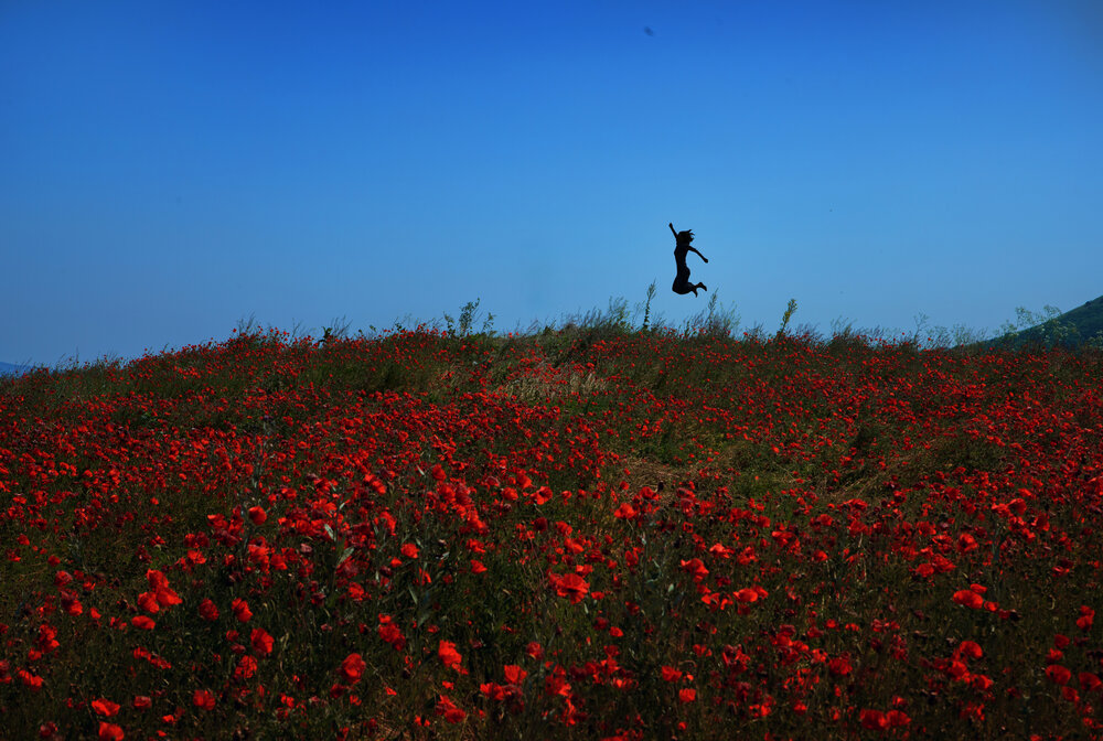Photograph by Туева Наталья
